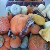 Britt's Garden Acres Scary Maze photo