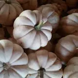 Britt's Garden Acres Scary Maze photo