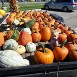 Britt's Garden Acres Scary Maze photo
