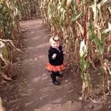 Cullen Pumpkin Farm photo