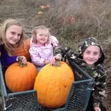 Cullen Pumpkin Farm photo