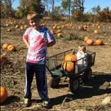 Cullen Pumpkin Farm photo