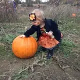 Cullen Pumpkin Farm photo
