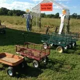 Cullen Pumpkin Farm photo