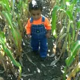 Cullen Pumpkin Farm photo