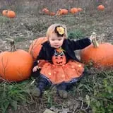 Cullen Pumpkin Farm photo