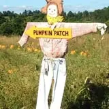 Cullen Pumpkin Farm photo