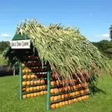 Cullen Pumpkin Farm photo