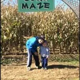 Cullen Pumpkin Farm photo