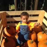 Cullen Pumpkin Farm photo