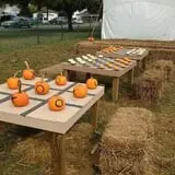 Cullen Pumpkin Farm photo