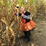 Cullen Pumpkin Farm photo