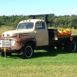 Cullen Pumpkin Farm photo