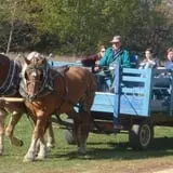 Clearview Orchards photo