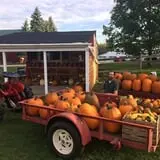 Clearview Orchards photo
