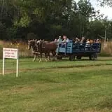 Clearview Orchards photo