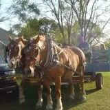 Clearview Orchards photo