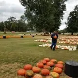 Green Acres Farm photo