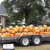 Green Acres Farm photo