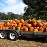 Green Acres Farm photo