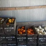 Green Acres Farm photo