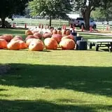 Green Acres Farm photo