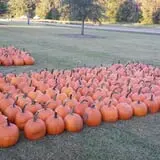 Green Acres Farm photo