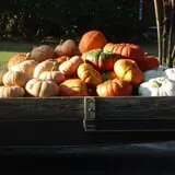 Green Acres Farm photo