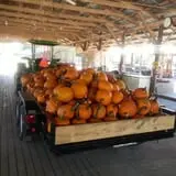Green Acres Farm photo