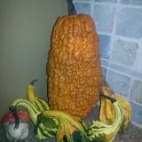 Green Acres Farm photo