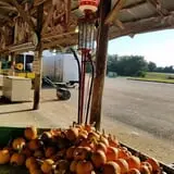 Green Acres Farm photo