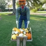 Green Acres Farm photo