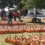 Green Acres Farm photo