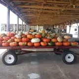 Green Acres Farm photo