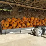 Green Acres Farm photo