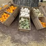 Green Acres Farm photo