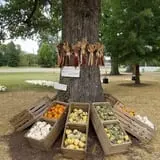 Green Acres Farm photo