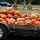 Green Acres Farm photo