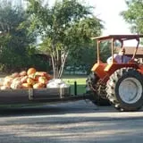 Green Acres Farm photo