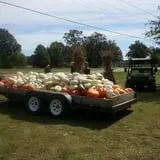 Green Acres Farm photo