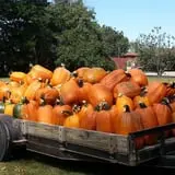 Green Acres Farm photo
