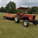 Green Acres Farm photo