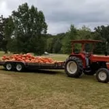 Green Acres Farm photo