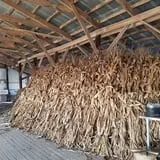 Green Acres Farm photo