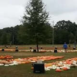 Green Acres Farm photo