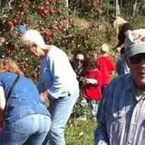 Apple Dave's Orchards photo