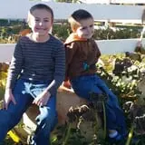 Meadowlark Farm photo