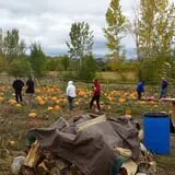 Meadowlark Farm photo