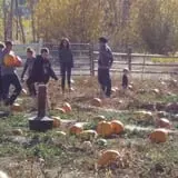 Meadowlark Farm photo