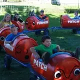 Meadowlark Farm photo